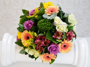 Flori in culori Flori in culori